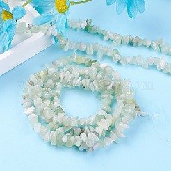 Natural New Jade Chip Bead Strands&nbsp;G-M205-29