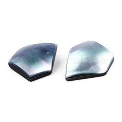 Natural Turbo Cornulus/Top Shells Cabochons&nbsp;SSHEL-N003-155A