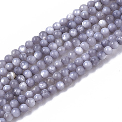 Natural Freshwater Shell Beads Strands&nbsp;BSHE-T009-01