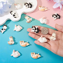 20Pcs Resin Pendants&nbsp;RESI-TA0004-95