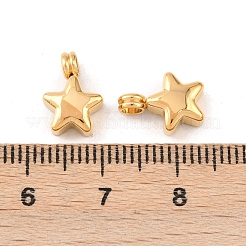 304 Stainless Steel Charms&nbsp;STAS-D390-43G