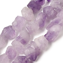Natural Amethyst Beads Strands&nbsp;G-O173-010B-01