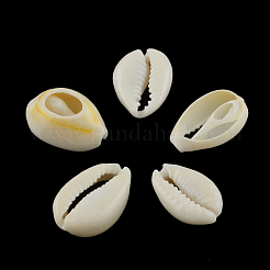 Natural Mixed Cowrie Shell Beads&nbsp;BSHE-S051-01
