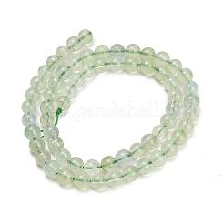 Natural Prehnite Beads Strands&nbsp;GG-CBA6F9F-6mm