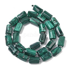 Natural Malachite Beads Strands&nbsp;G-C270-K03