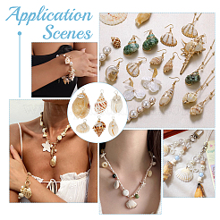 Shell Pendants&nbsp;PALLOY-PH01926