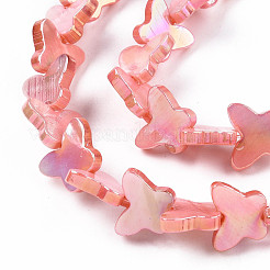 Natural Freshwater Shell Beads Strands&nbsp;SHEL-N026-206C