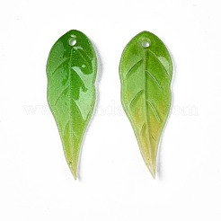 Plastic Pendants&nbsp;KY-N015-045