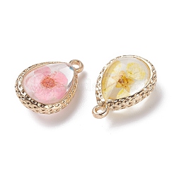 Glass Dried Flower Pendants&nbsp;RESI-F030-23