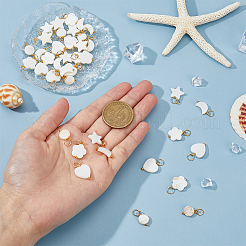 40Pcs 5 Styles Natural Freshwater Shell Charms&nbsp;PALLOY-AB00085