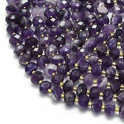 Natural Amethyst Beads Strands&nbsp;G-P573-A31-01