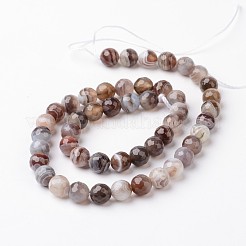 Natural Botswana Agate Bead Strands&nbsp;G-J376-08-8mm