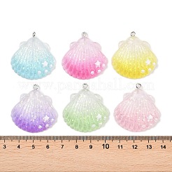 Transparent Resin Pendants&nbsp;RESI-P049-02A-P