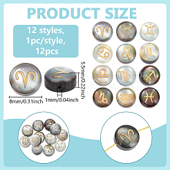 12Pcs 12 Styles Natural Black Lip Shell Gold Enamel Beads&nbsp;SSHEL-BC0001-32