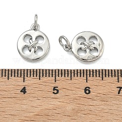 Brass Pendants&nbsp;KK-D229-18P