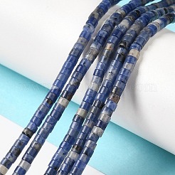 Natural Sodalite Beads Strands&nbsp;G-E612-A12