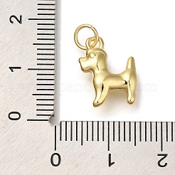 Rack Plating Brass Pendants&nbsp;KK-I720-19G