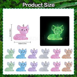 30Pcs 6 Colors Luminous Transparent Resin Pendants&nbsp;RESI-SZ0003-40