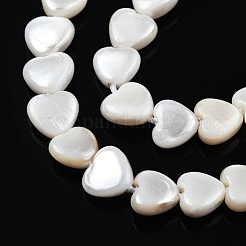 Natural Freshwater Shell Beads Strands&nbsp;SHEL-N026-220A