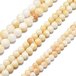Natural Malaysia Jade Beads Strands&nbsp;G-L645-A01-10mm-28
