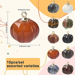 10Pcs Natural & Synthetic Mixed Gemstone Pumpkin Charms with Golden Tone Brass Bails&nbsp;G-YW0002-45