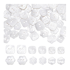 60Pcs 6 Styles 2-Hole Natural Shell Buttons&nbsp;BUTT-PH0001-48