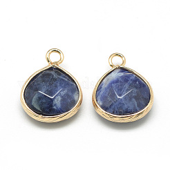 Natural Sodalite Pendants&nbsp;G-Q963-13