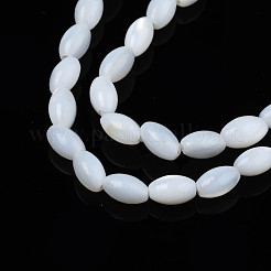 Natural Freshwater Shell Beads Strands&nbsp;SHEL-N003-25-A01