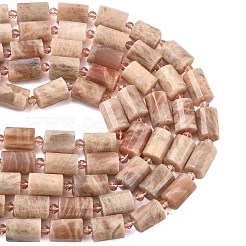 Natural Sunstone Beads Strands&nbsp;G-G453-E09-10x14mm