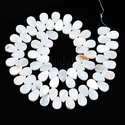Natural Freshwater Shell Beads Strands&nbsp;SHEL-Q024-007