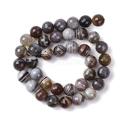 Natural Botswana Agate Beads Strands&nbsp;G-G453-B01-10mm