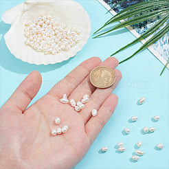2 Strands Natural Cultured Freshwater Pearl Beads Strands&nbsp;PEAR-NB0002-56