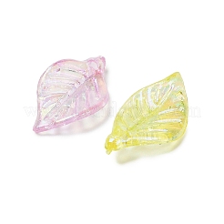 Transparent Acrylic Pendants&nbsp;MACR-F084-02