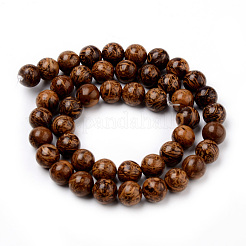 Natural Elephant Skin Jasper/Miriam Stone/Calligraphy Stone Beads Strands&nbsp;G-Q462-54-6mm