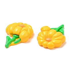 Opaque Resin Cabochons&nbsp;RESI-G072-04D