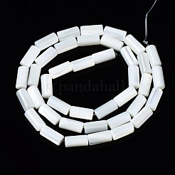 Natural Trochid Shell/Trochus Shell Beads Strands&nbsp;SSHEL-S266-020A-04
