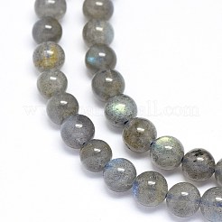 Natural Labradorite Beads Strands&nbsp;G-F602-04-6mm