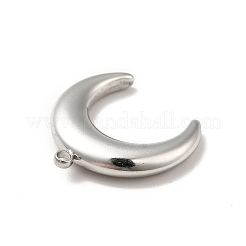 Non-Tarnish 304 Stainless Steel Pendants&nbsp;STAS-I197-018A-P
