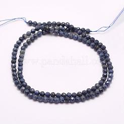 Natural Sapphire Beads Strands&nbsp;G-F509-18-3mm