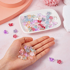 60Pcs 15 Styles Transparent Glass Pendants&nbsp;FIND-TA0004-51