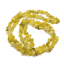 Natural Olive Jade Chip Bead Strands&nbsp;G-M205-30