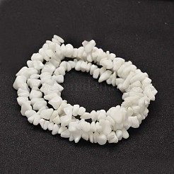 Chip Opaque Glass Beads Strands&nbsp;G-L454-03