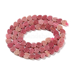 Natural Rhodonite Beads Strands&nbsp;G-M403-A32-02