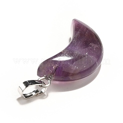 Natural Amethyst Pendants&nbsp;G-Z022-05D
