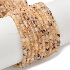 Natural Citrine(Heated) Beads Strands&nbsp;G-C201-B04-3mm
