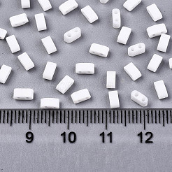 FGB 2-Hole Glass Seed Beads&nbsp;LS-X-SEED-S031-M-SH41FR