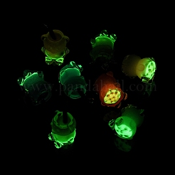 Luminous Translucent Resin Pendants&nbsp;RESI-D057-07