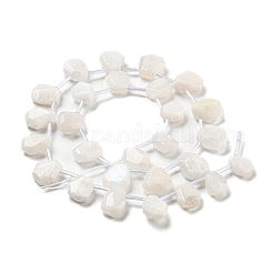 Natural Rainbow Moonstone Beads Strands&nbsp;G-Z040-A06-01