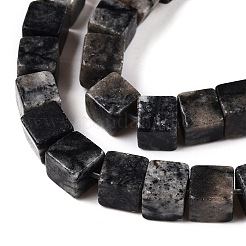 Natural Black Netstone Beads Strands&nbsp;G-T139-6x6-24A