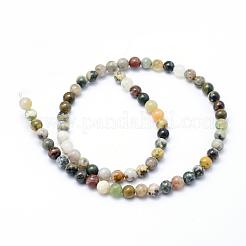 Natural Ocean Jasper Beads Strands&nbsp;G-P326-06-6mm